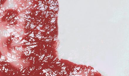 Fotografía digital con iPhone. Ejemplo de doble exposición con app para fotografía DianaApp