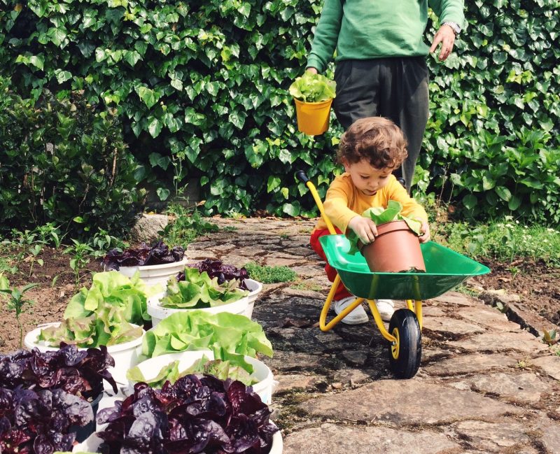 Storytelling: en la huerta con el abuelo