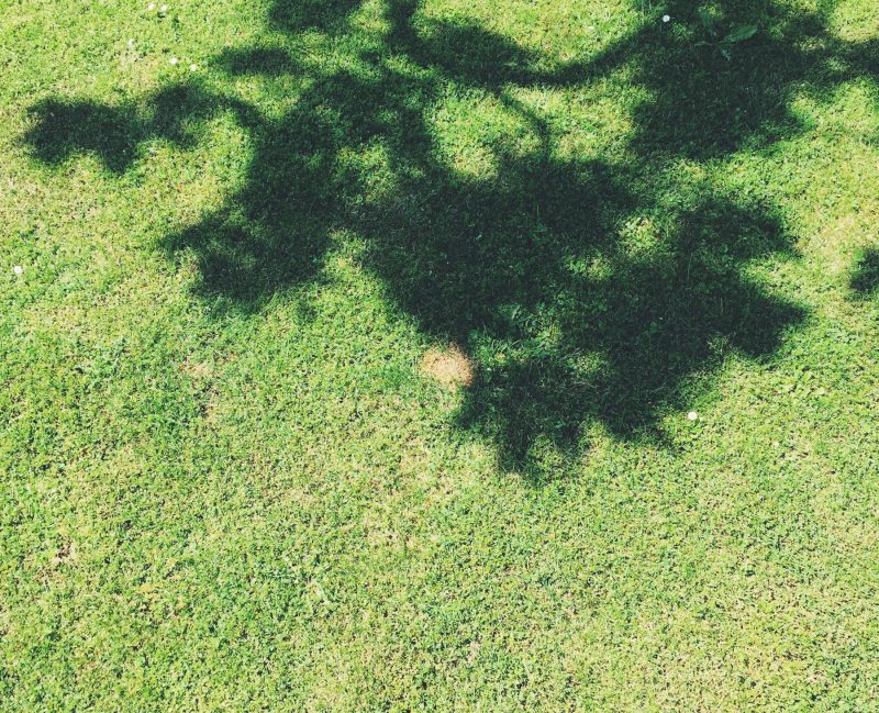 La diferencia entre ver y mirar